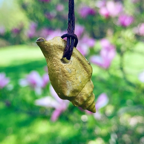 Jewelry - Gold Under The Sea Seashell Necklace
